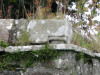 view image