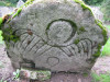 view image