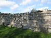 view image