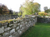 view image