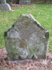 view image