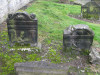 view image