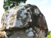 view image