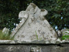 view image