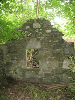 main image for work