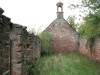 view image