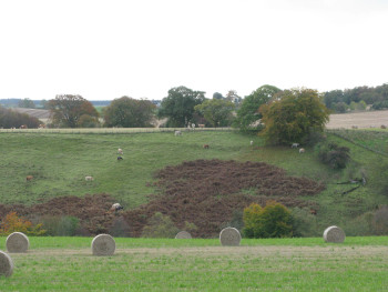 main image for work