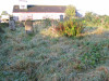 view image