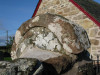view image
