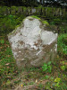 view image