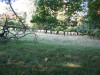 view image