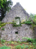view image