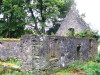 view image
