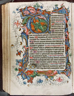 main image for work