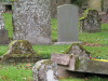 view image