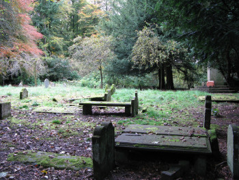 main image for work