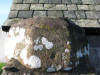 view image