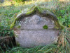 view image