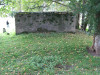 view image