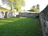 view image