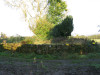 view image
