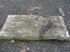 view image