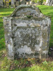 view image