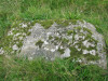 view image