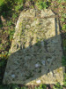 view image