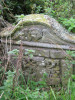 view image