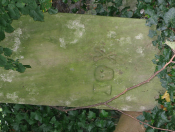main image for work