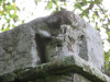 view image