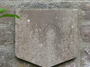 view image