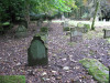 view image
