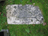 view image