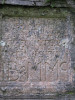 view image