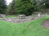 view image