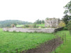 view image