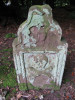 view image