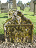 view image