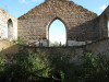 view image