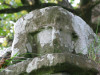 view image