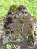 view image
